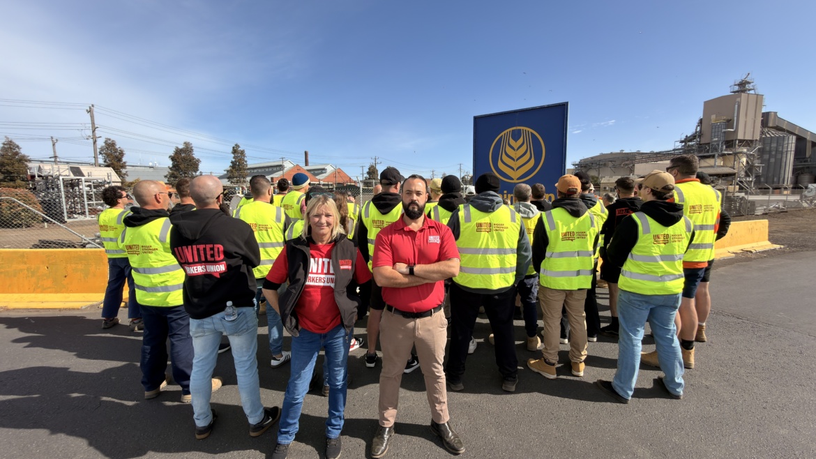 workers in hi-vis vests facing away from the camera with graincorp worksite behind them